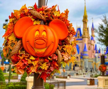 What is the Best Time of Year to Go to Disney World in 2024? | the ...