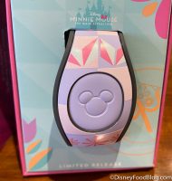 YAY! We Just Found THREE Minnie Mouse: The Main Attraction MagicBands ...