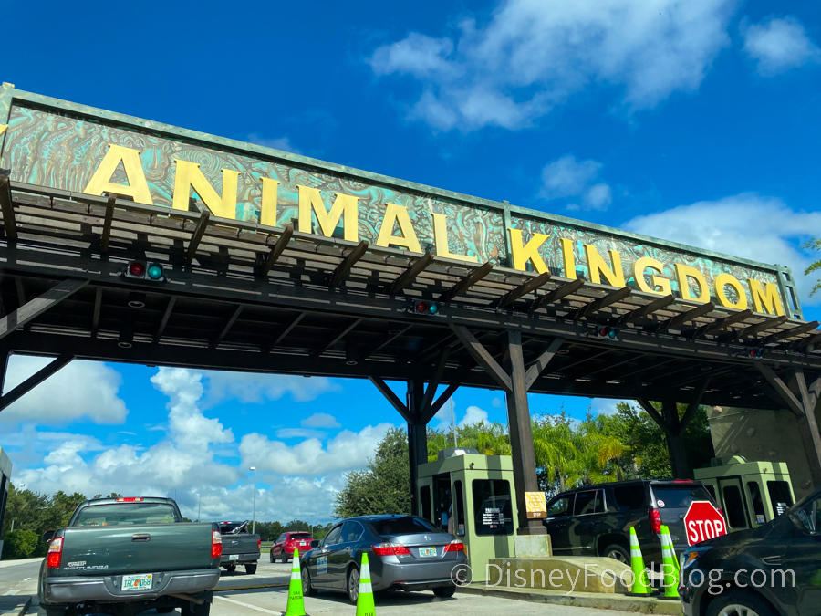 What's New At Disney's Animal Kingdom: The Coolest Halloween Decor, A