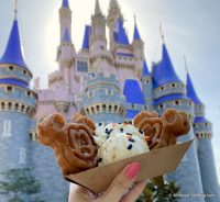 REVIEW: Should You Leave EPCOT For This Rare Breakfast Waffle?! | the ...