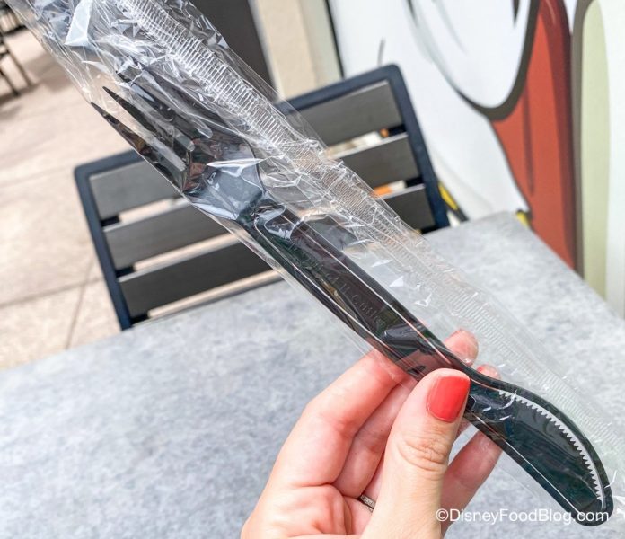 Is Using Reusable Silverware in Disney Worth It? Here's What We