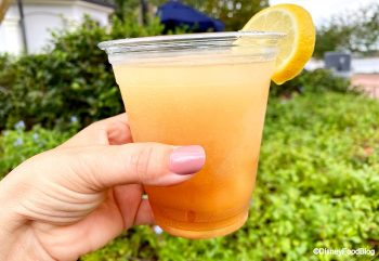 Cheers! We've Got Updates on A Few NEW and Old Drinks of Disney World ...