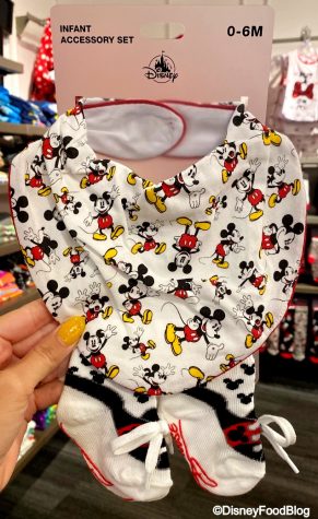 The Ultimate Packing List for Newborns in Disney World | the disney ...