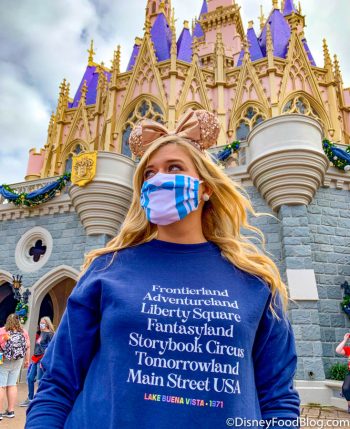 10 Shirts That Are Seriously MADE for Magic Kingdom Fans! | the disney ...