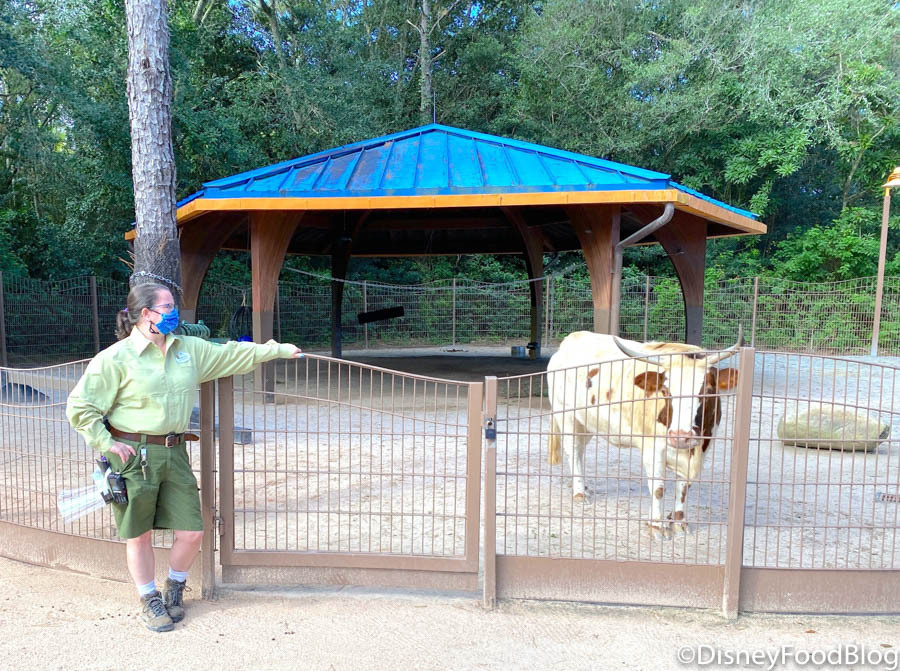 Petting Zoo Sarasota Jungle Gardens