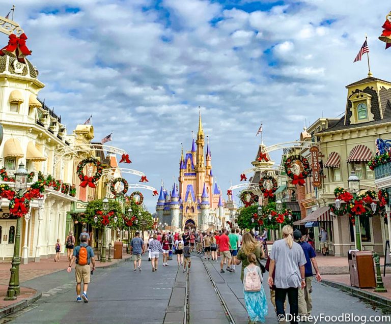 21 Photos and Videos From Our Incredible Day in Disney World's Magic ...