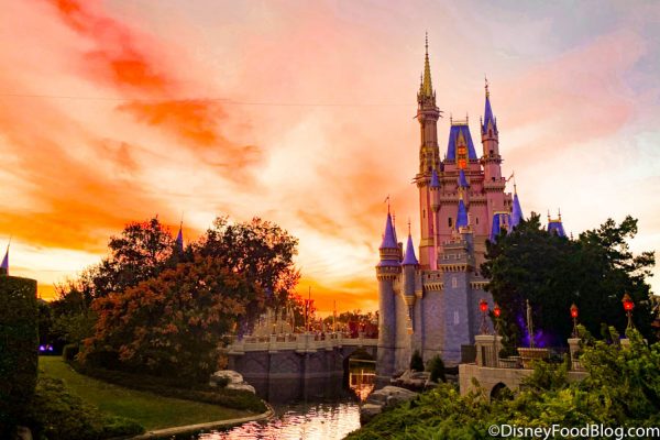 Disney World Issues Update On Multi-Day Tickets and Capacity Days | the ...