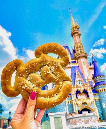 6 Rules for Taking GREAT Food Photos at Disney World | the disney food blog