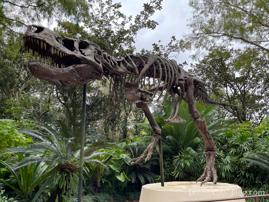 Dino-Sue, Animal Kingdom Attractions