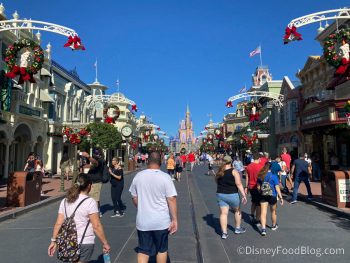 Photos and Videos! Uhm…Where Have the Holiday Crowds in Disney World ...