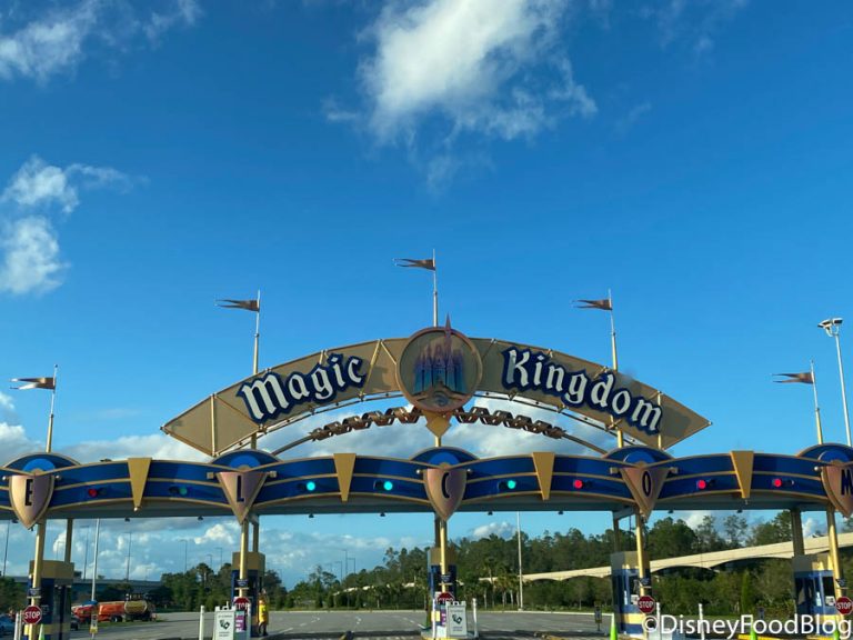 walt disney world magic kingdom entrance