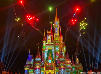 Every Disney World PRO Knows These 28 Tips. Do You? | the disney food blog