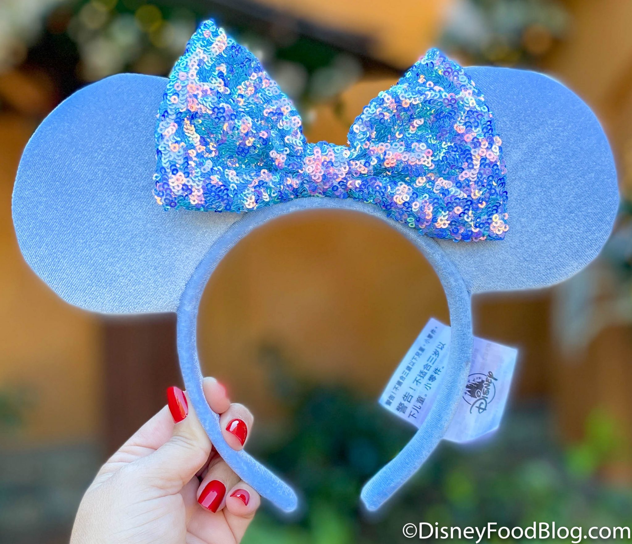 PHOTOS The NEW Wintery Blue Ears Are Finally Available in Disney World