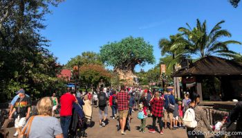 Will Park Hopping in Disney World Still Be WORTH the Cost in 2021 ...