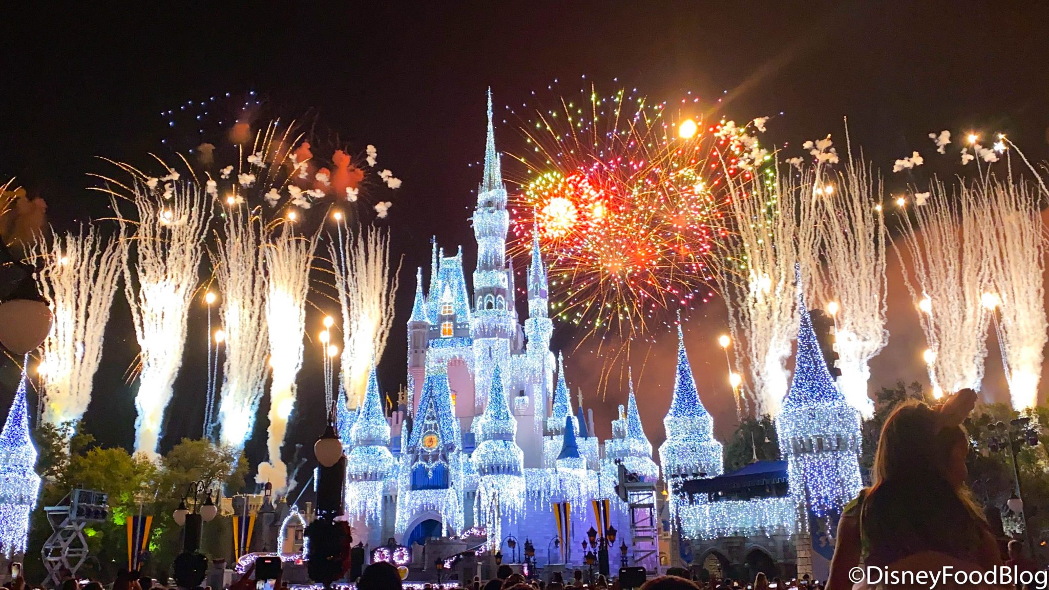 Our FREE Gift to YOU! 29 Disney World Wallpapers From DFB! | the disney ...