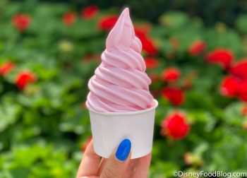 Find Out How to Get Cups FULL of Watermelon Dole Whip in Disney World ...