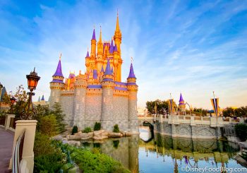 30 Hidden Secrets in Magic Kingdom | the disney food blog