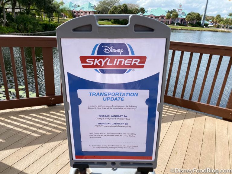 What's New at Disney's Skyliner Resorts Pool Construction, Skyliner