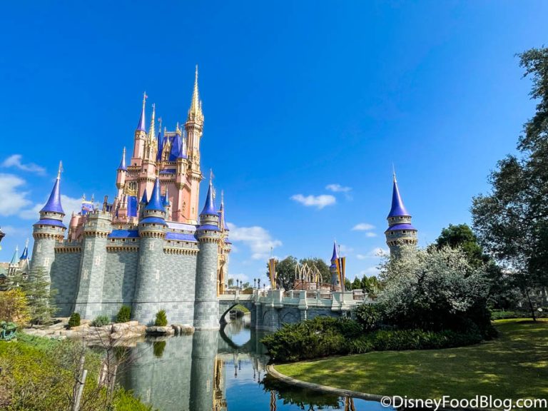 How Long is TOO Long to Wait For a Ride in Disney World?! | the disney ...