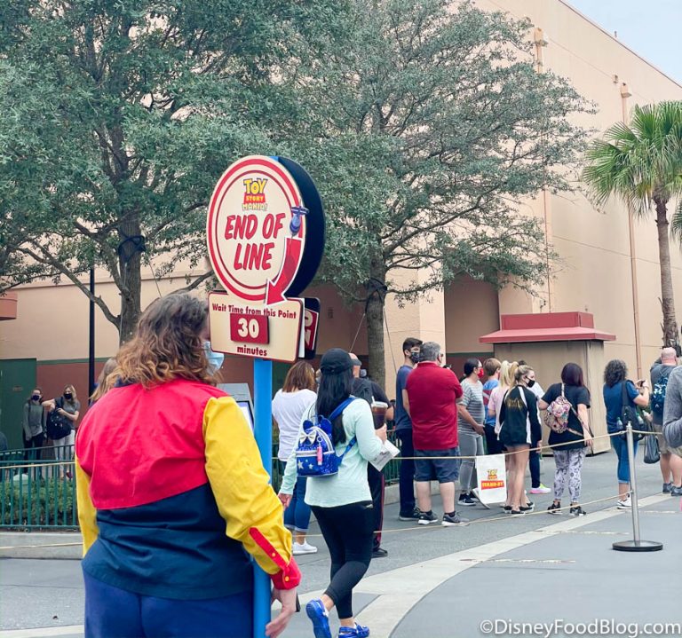 What's New In Hollywood Studios: Floral Minnie Ears And Mickey Water 