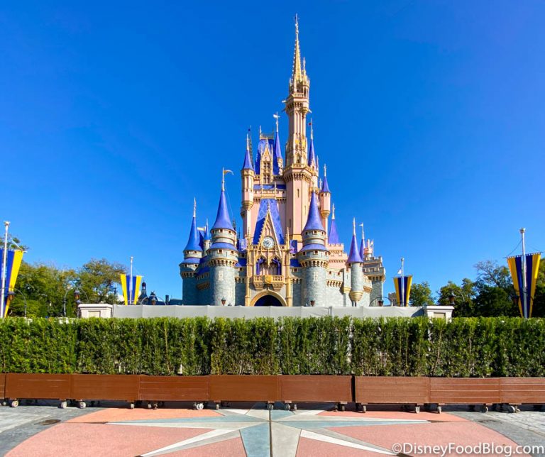 PHOTOS: Cinderella Castle Moat DRAINED in Magic Kingdom | the disney ...