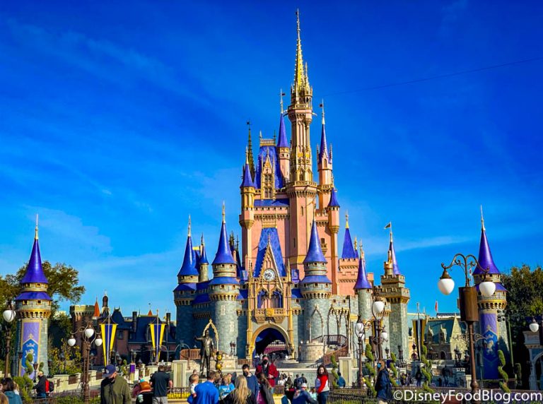 PHOTOS: Disney World's Princess Cavalcade Was Missing Something Today ...