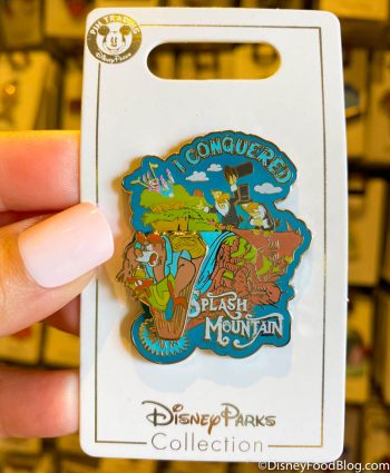 SOLD OUT Splash Mountain Pins are Back in Stock in Disney World | the ...