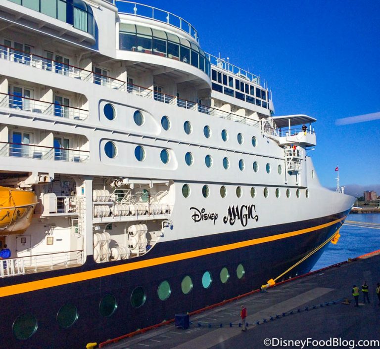 A Full List of What You CAN'T Bring on a Disney Cruise | the disney ...