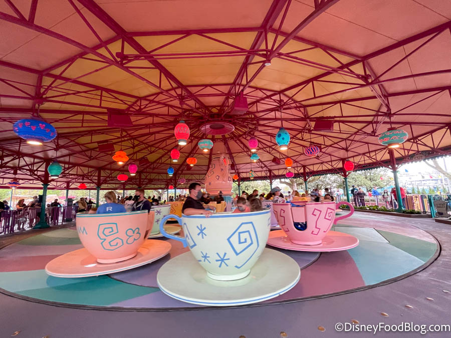 PHOTOS: More New Wonderland Teas Available at Walt Disney World - WDW News  Today