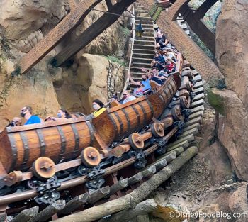 Wait Times DROP As Disney World Stays At Capacity | the disney food blog