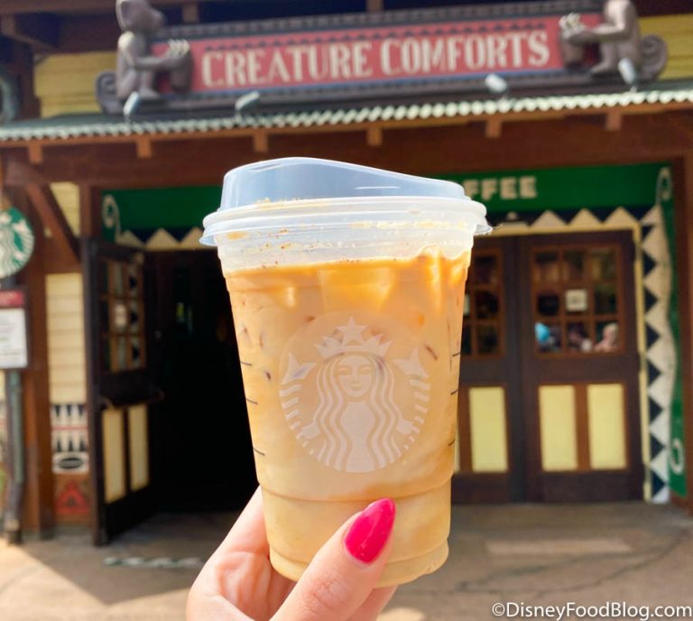 Starbucks Just Released a NEW Ingredient in Disney World and We Tried ...