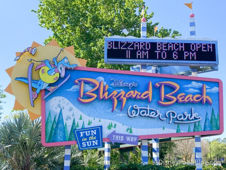 We're LIVE From the Blizzard Beach Reopening at Walt Disney World