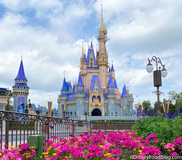 florida-residents-have-one-week-left-to-grab-discounted-disney-world