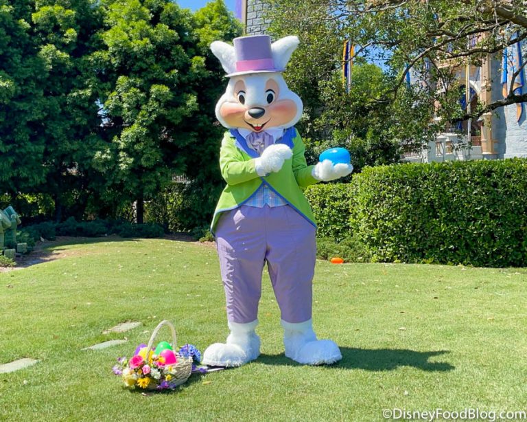 What's New at Magic Kingdom: A RARE Character and MORE Mystery ...