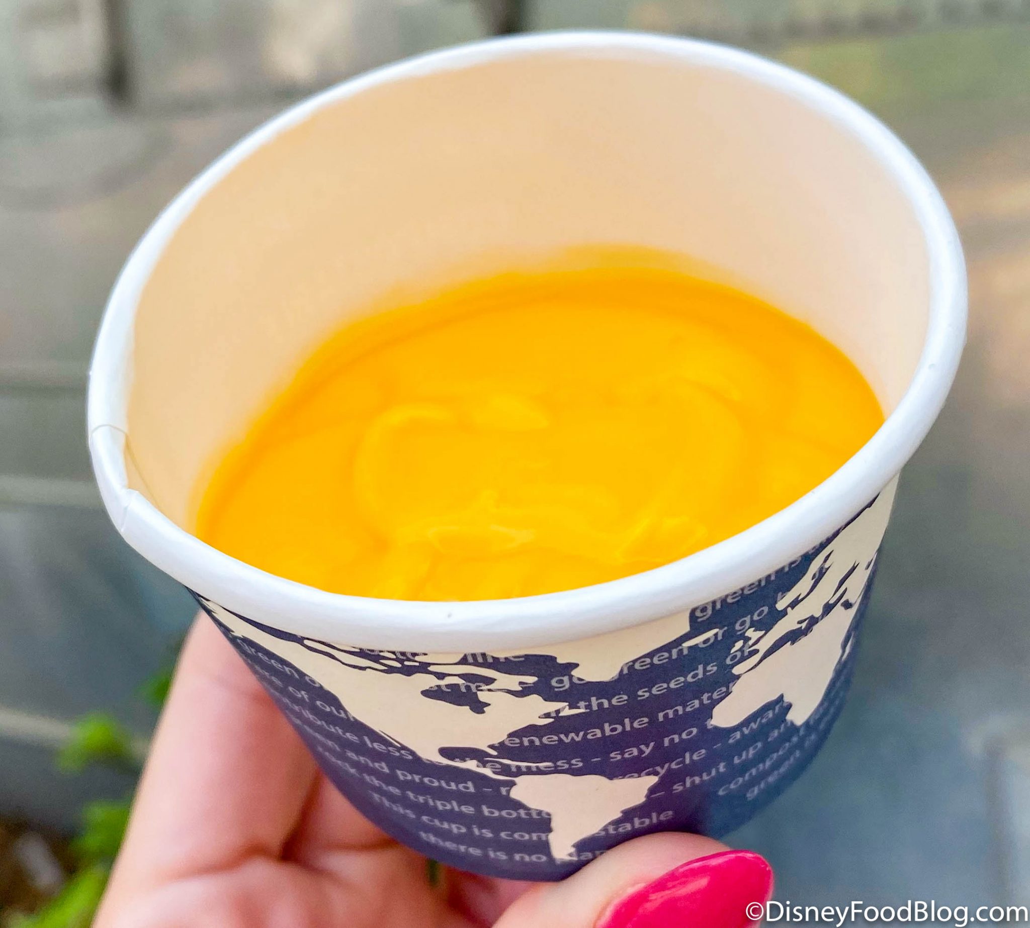 save-the-earth-by-eating-plastic-cheese-in-disney-world-seriously