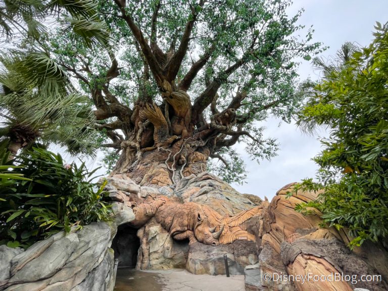 DFB Video: 25 Secrets You Never Knew About Animal Kingdom | the disney