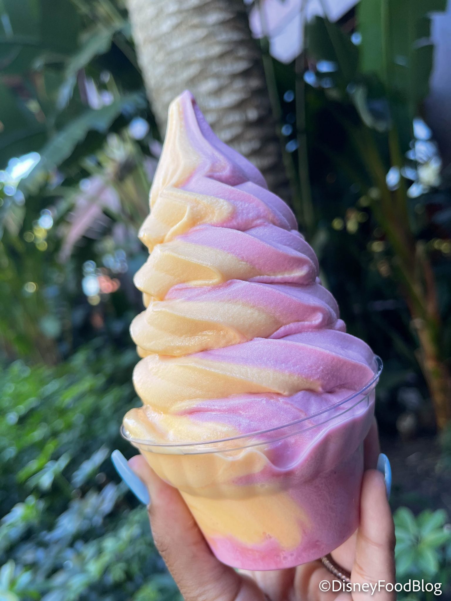 10 Dole Whip Flavor Combos You Need To Try In Disney World The Disney Food Blog 7256