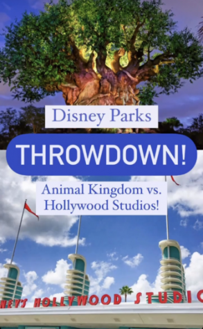 Disney Parks Throwdown! Animal Kingdom VS. Hollywood Studios? | the