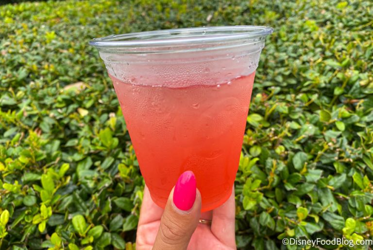 Our Team Just Spent An HOUR Debating On Whether This Disney World Drink ...