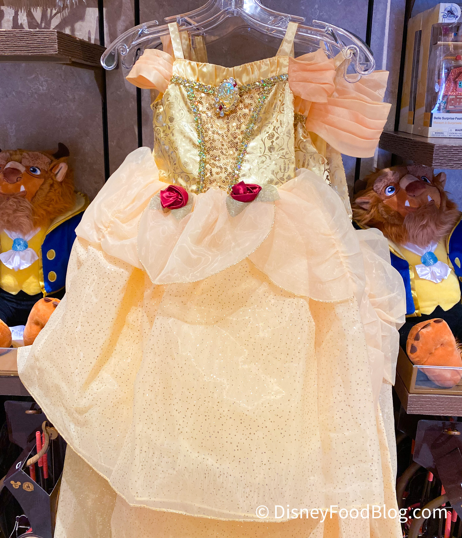 princess costume