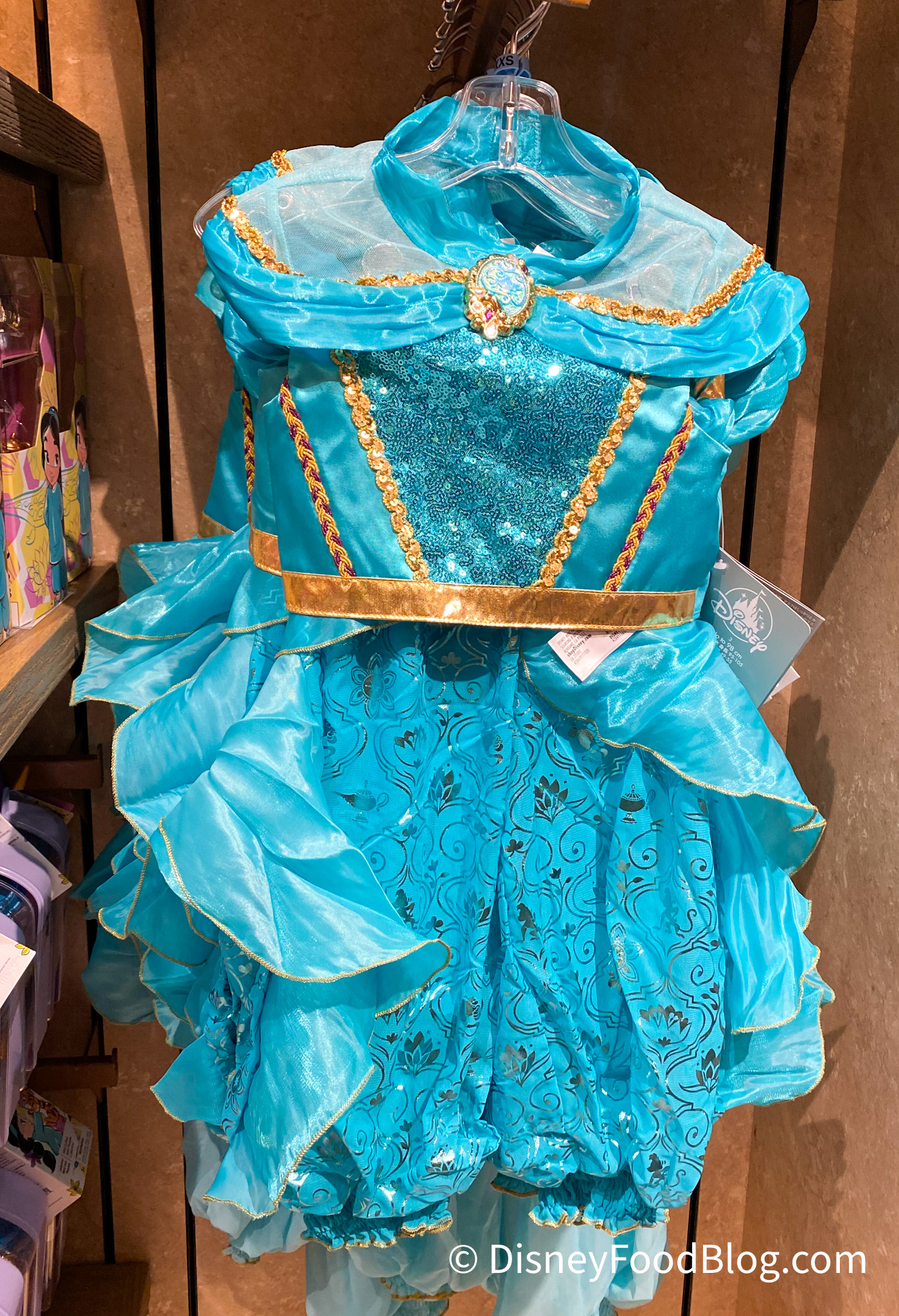 PHOTOS: NEW Princess Costume Dresses Arrive in Disney World! | the ...