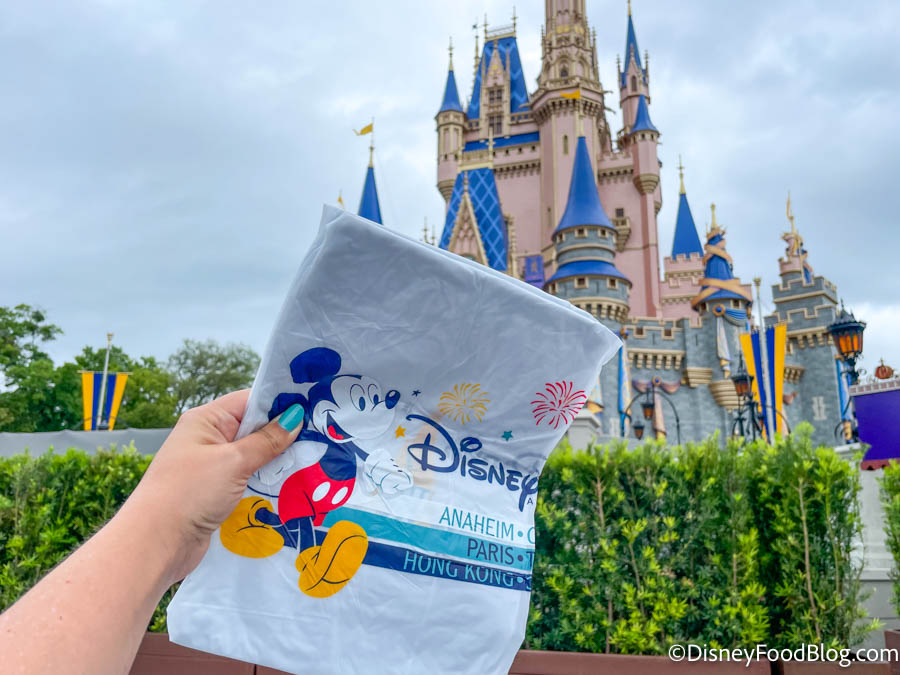 Prooi Astrolabium De Kamer We Wore a Disney World Rain Poncho on a Stormy Day. Here's What Happened. |  the disney food blog