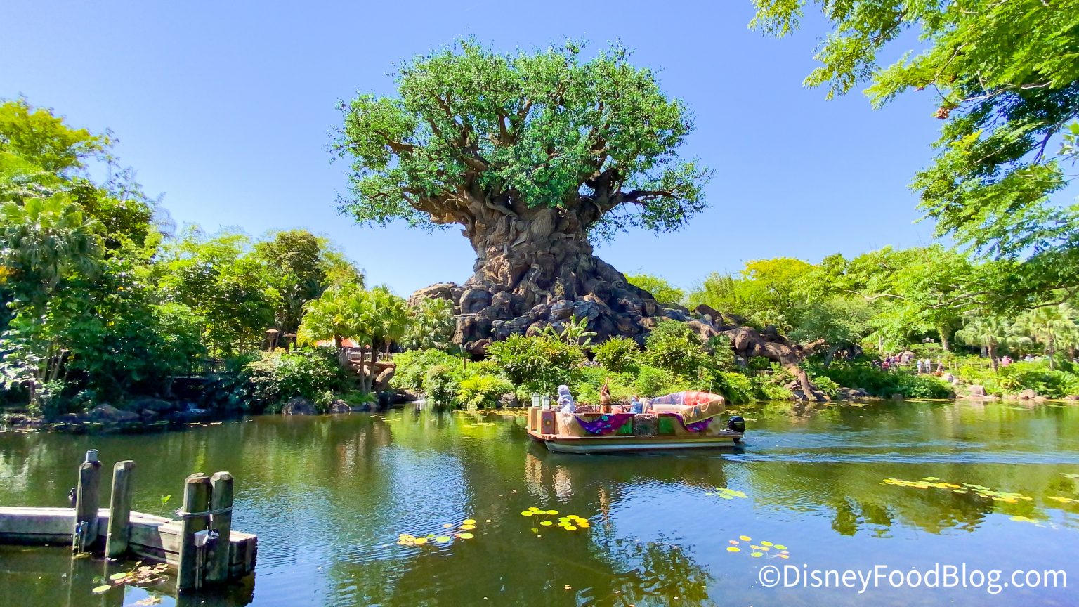 animal kingdom asia | the disney food blog