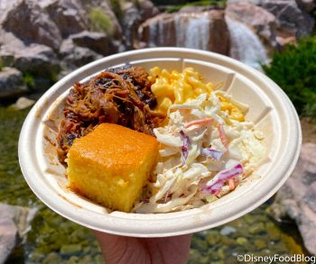 REVIEW: How Does Disney World's New Pulled Pork Mac Stack Up Against ...