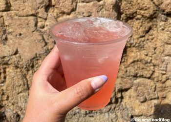 What's New at Disney's Animal Kingdom: An Underrated Snack and Scary ...