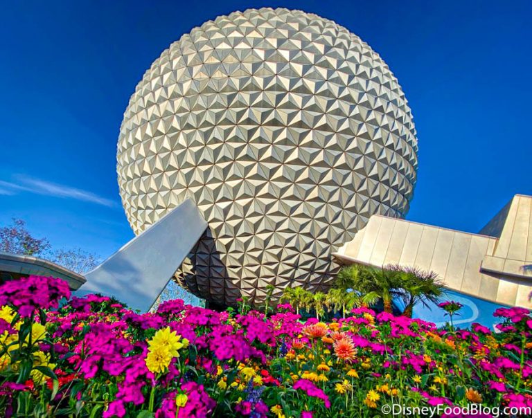 7 Extra COSTS You're Not Thinking About in Disney World | the disney ...