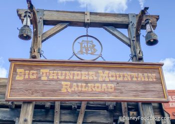 Can You Guess Which Disney World Rides TIED For the HIGHEST Wait Times ...