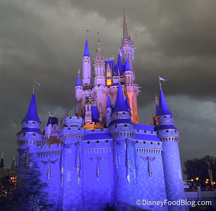 cinderella celebration castle