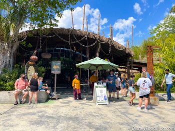 10 DFB Reviews You HAVE to Read Before Going to Disney's Animal Kingdom ...