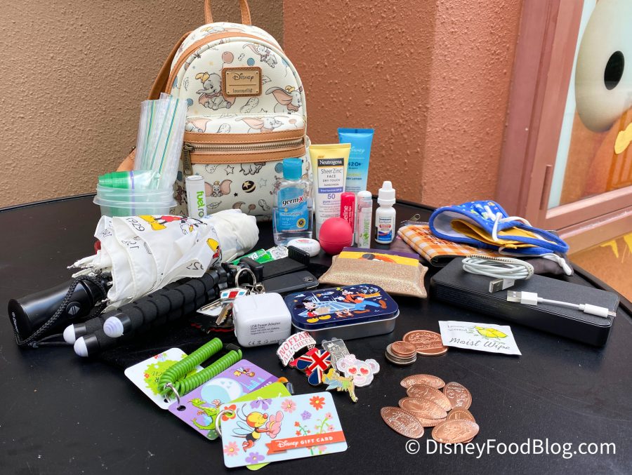 Disney Summer Essentials 2023  What's in My Park Bag! 